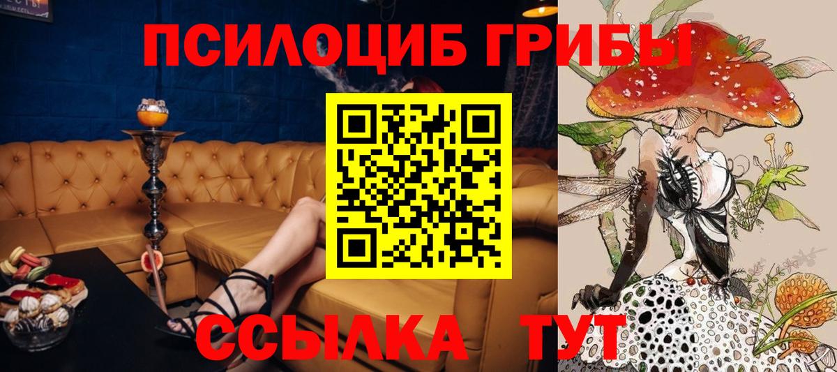 Псилоцибиновые грибы Cubensis  Псилоцибиновые грибы MAGIC MUSHROOMS  Малоярославец  Вход с VPN 